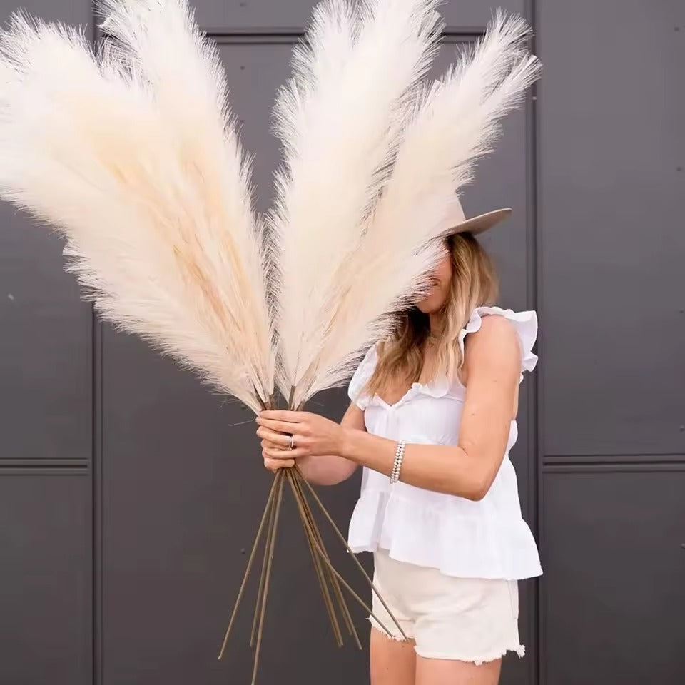 Kit Capim dos Pampas Artificial Plumas Naturais Secas Premium