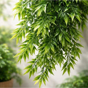 Pendente Bambu Artificial Kit 6 Ramos — Folhagem Verde em Cascata