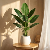 plantas artificiais folhas de bananeira