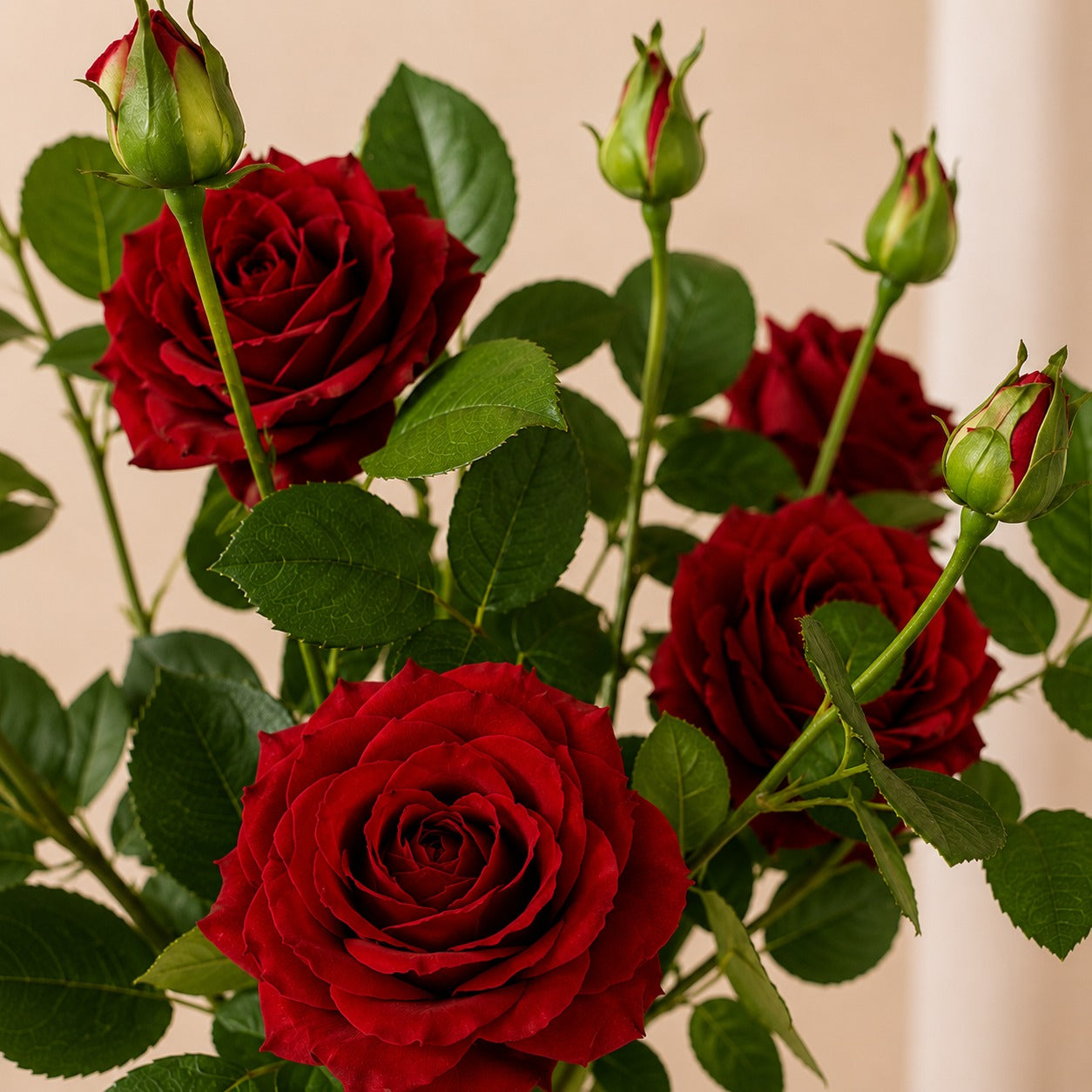 Flores artificiais rosas vermelhas vintage toque real detalhes – IzaraFlores
