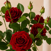 Flores artificiais rosas vermelhas vintage toque real detalhes – IzaraFlores

