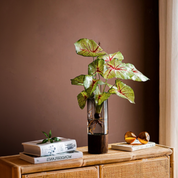 vaso decorativo com Acabamento Natural